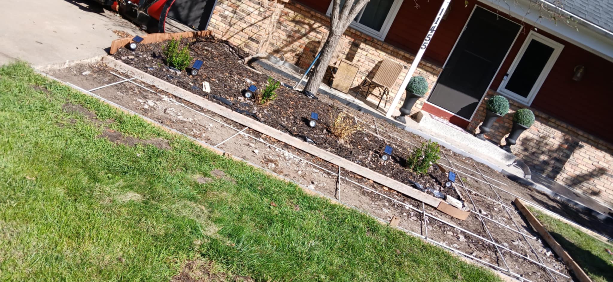 Plant Concrete Skeleton